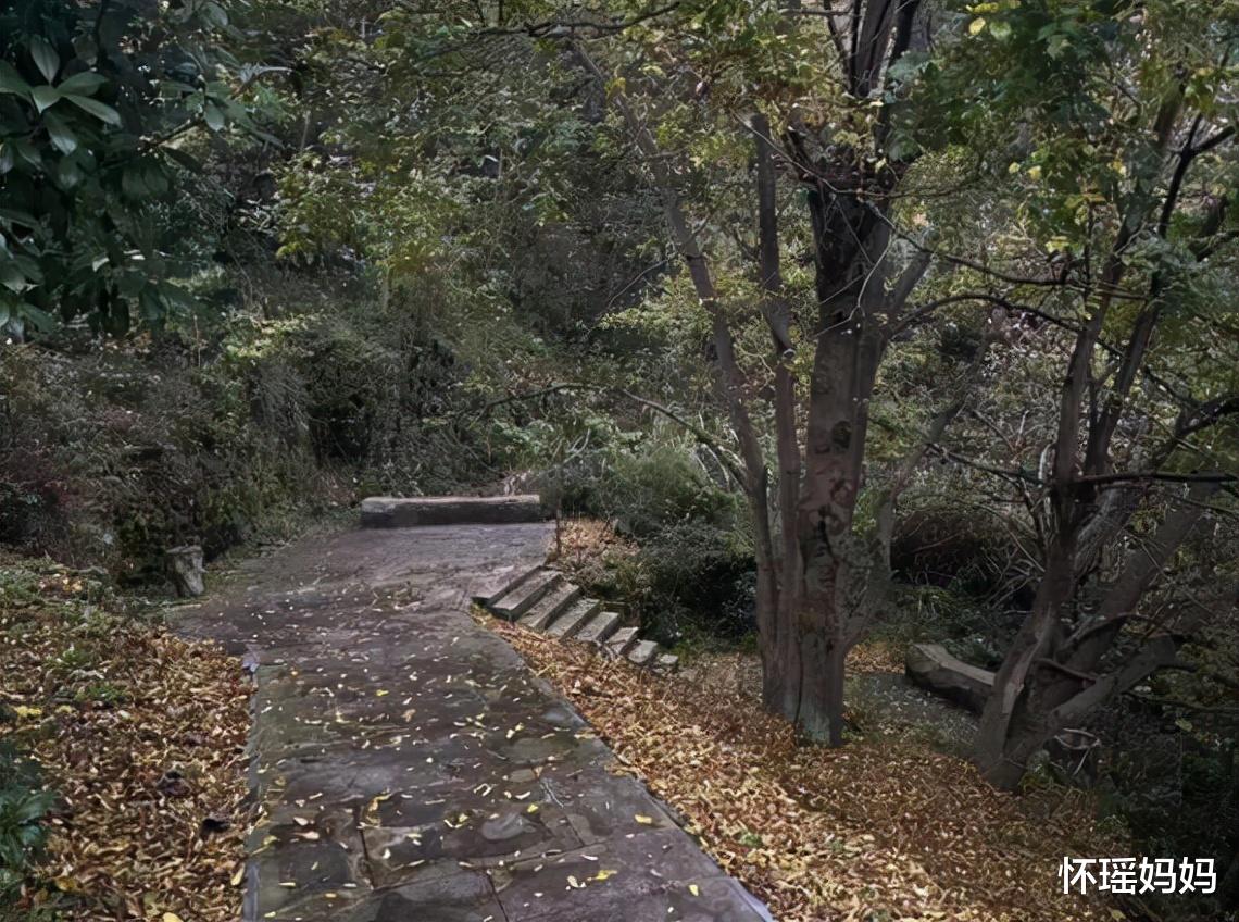 细思极恐,晨跑遇害女孩的母亲讲述案件细节,凶手竟然回过案发地