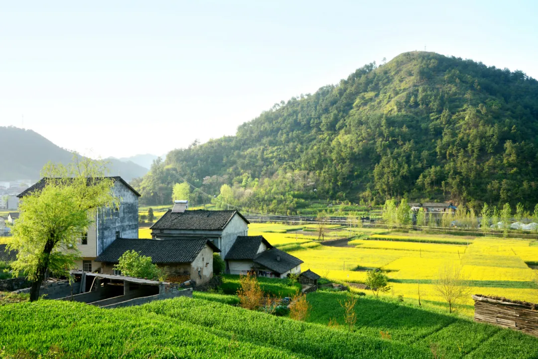 市值|这才是未来农村最奢华的住宅，网友：想弄个农村户口了，赚大了！