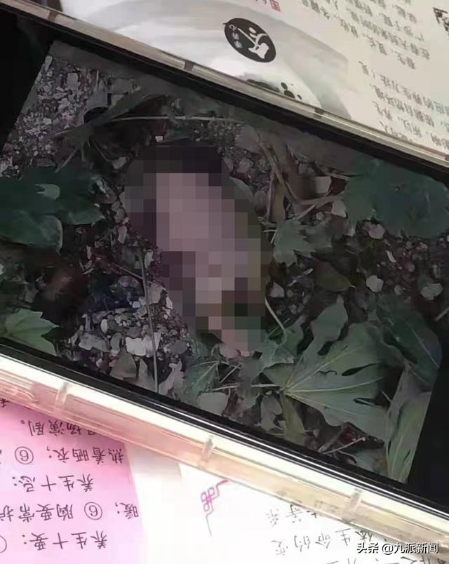 安徽淮北一职校女生宿舍楼下草丛发现婴儿，警方：正在调查