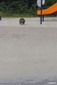 鑫宝聊育儿|“班主任怀孕时被绿，学生吃瓜吃到撑”内容太精彩了，哈哈哈