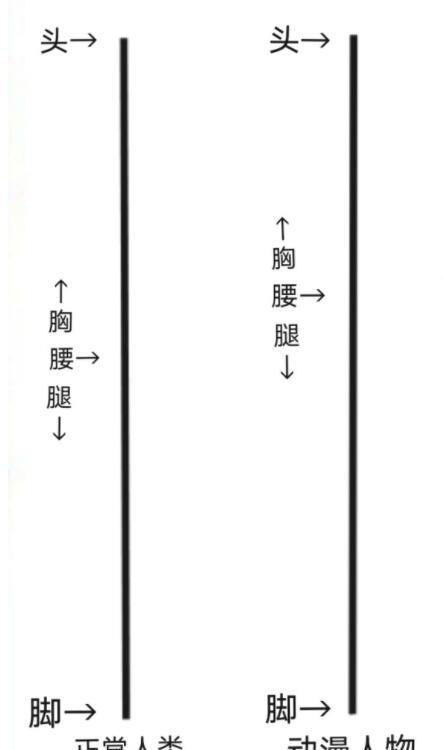 二次元|虽然二次元有身高差，但将每部动漫相同身高的人放一起，有点离谱