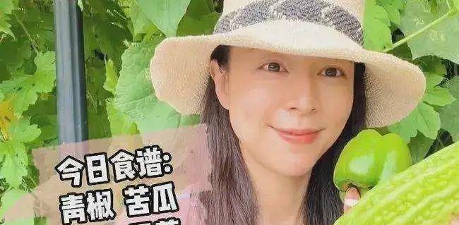 陶虹|你以为张静初、陶虹宣扬的是素食?其实她们秀的是优越感