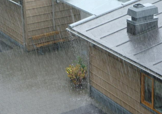 峰哥说表|腰椎专家:坚持每天这样做,快速恢复腰椎健康,让腰突不再来!