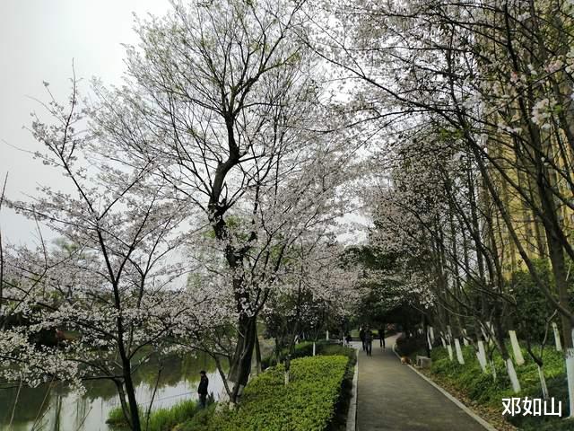  科学发现的延续和传承