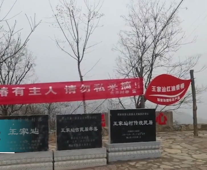 民生小鱼 游客摘香椿被要500，认为被坑拍照曝光，得知原因，网友：500少了