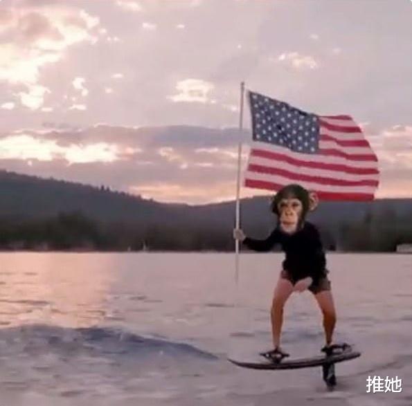 紮克伯格持國旗沖浪為美國“慶生”後續，遭社交媒體嘲笑，集體惡搞-圖8