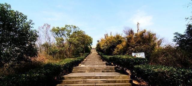 天上有个太阳 生死18分钟！21岁女孩“晨跑失联”四天前，曾和父亲通话说累要爸爸接回家！