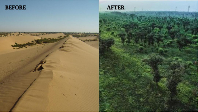 巴西雨林砍伐猛增67%，中國沙漠變綠洲，暴熱原因或已浮出水面-圖4