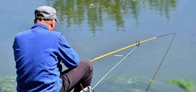 南充|四川南充一男子火了,钓鱼五斤罚款4000元,网友:遵纪守法很重要