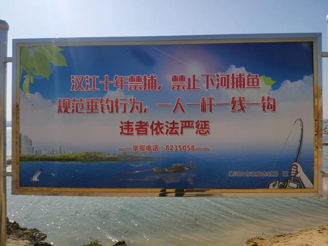 |钓鱼被刑拘逐渐普遍，普通钓友如何钓鱼？这几种行为危险
