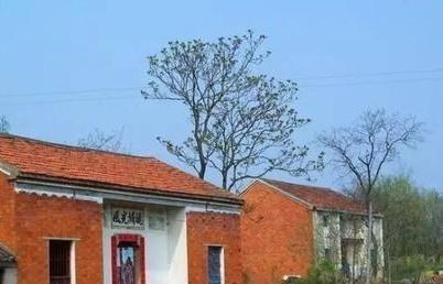 |为啥很多人开始回农村建房？城里高楼大厦不好？一切都在悄然发生