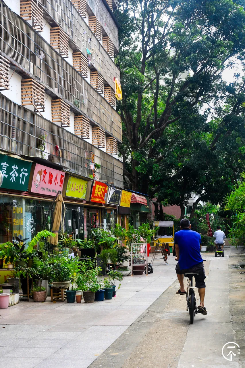 房地产市场|深圳“养生村”，租金才1200？