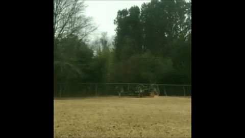 百艾堂|秋天为什么要少吃鸡肉？这几类人要注意