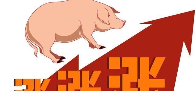 黄金 局地猪价翻盘暴涨！五一大反攻“吹响集结号”？附：4月11日猪价