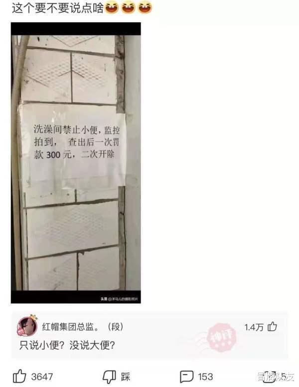 沙雕|神回复：谁能告诉我她说的什么意思，百度嫌它太长翻译不出来