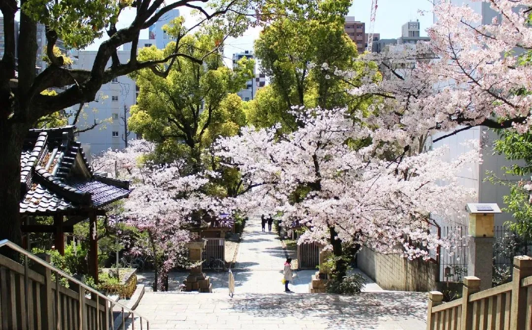 境华出国 日本房产近期人气高涨？日元汇率跌至两年以来低点或成主因！