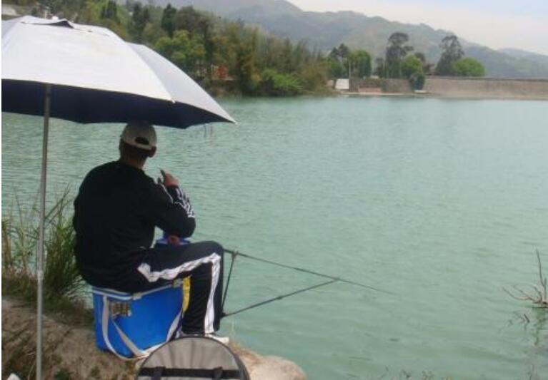 暴雨|这九个问题没搞明白，夏季怎么钓，钓友一定要知道