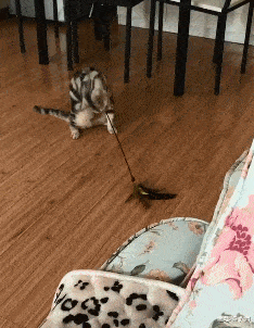 教练 “教练说他的学员，都是一次过，看到现场我信了！”哈哈哈