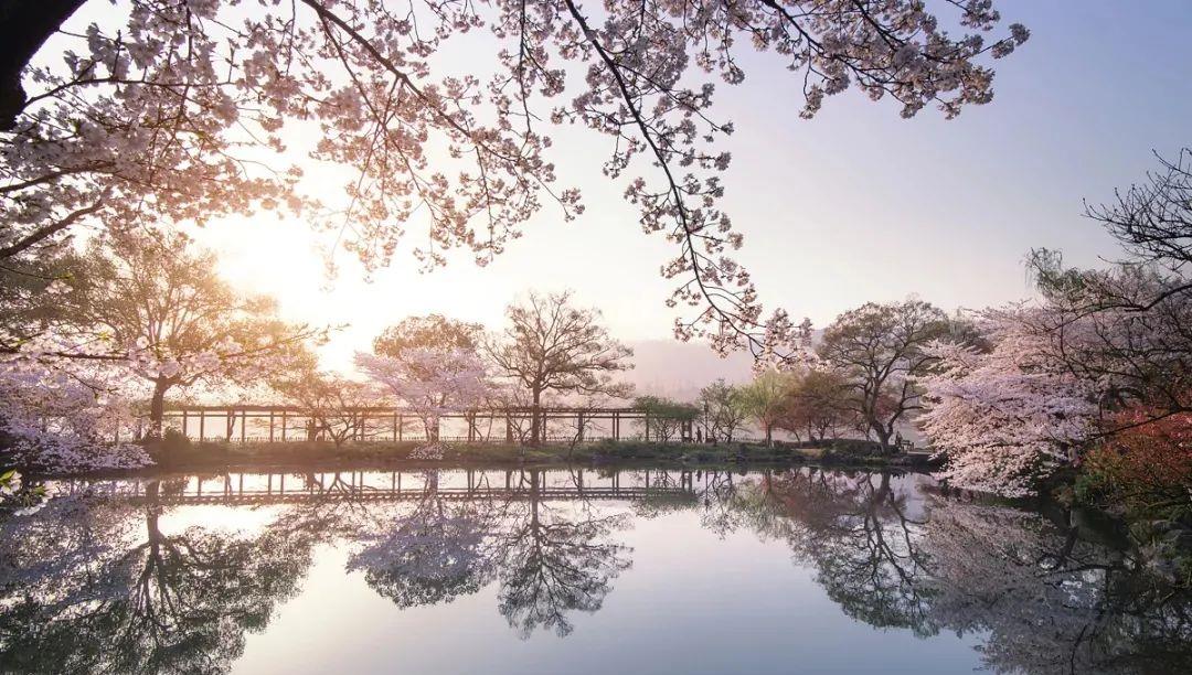 奶球妈咪聊|这辈子陪你最久的，不是父母，不是爱人，而是……