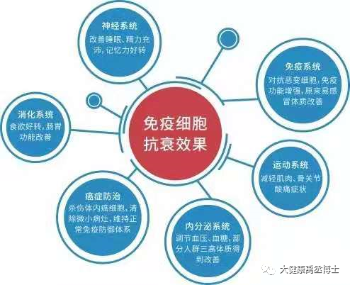 空间站 为什么要冻存我们的免疫细胞？原来是40岁以后会发生这样的情况