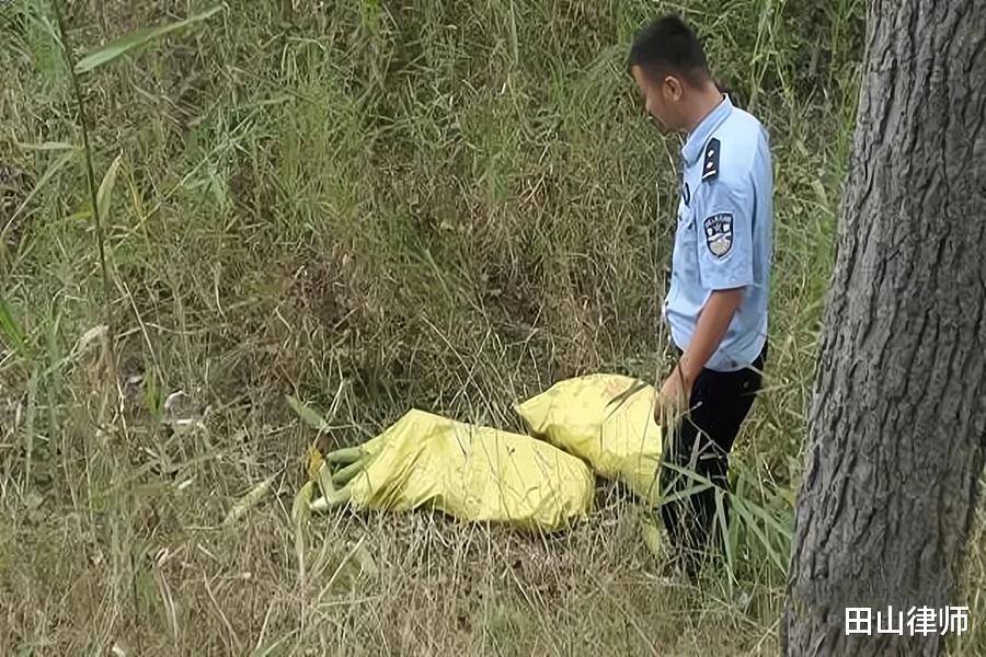 广东百万现金抢劫案:四人假装警察白日劫车,追凶十年犯人终落网