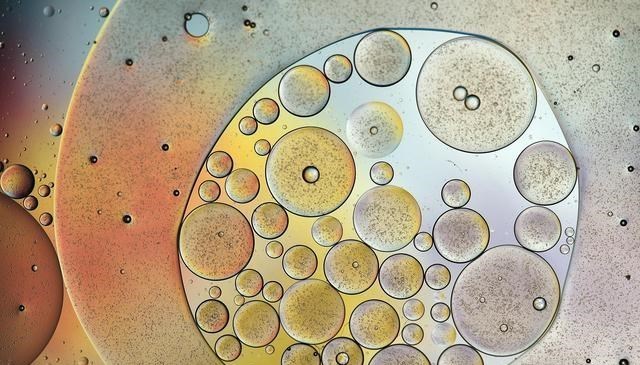 红豆杉 科学家:微生物可进入宇宙交流,可以利用微生物联系其他文明吗