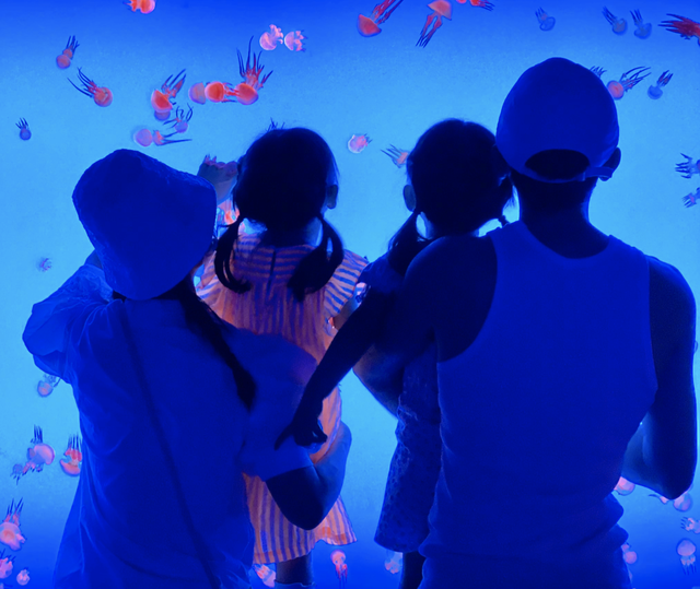 谢娜|谢娜侄儿回应考上清华：没上过辅导班，不希望被别人知道是明星的侄子