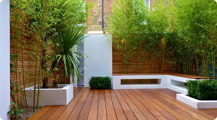 玄风八字感情 “前庭主财，后院主贵”，快看看你家都布置对了没？