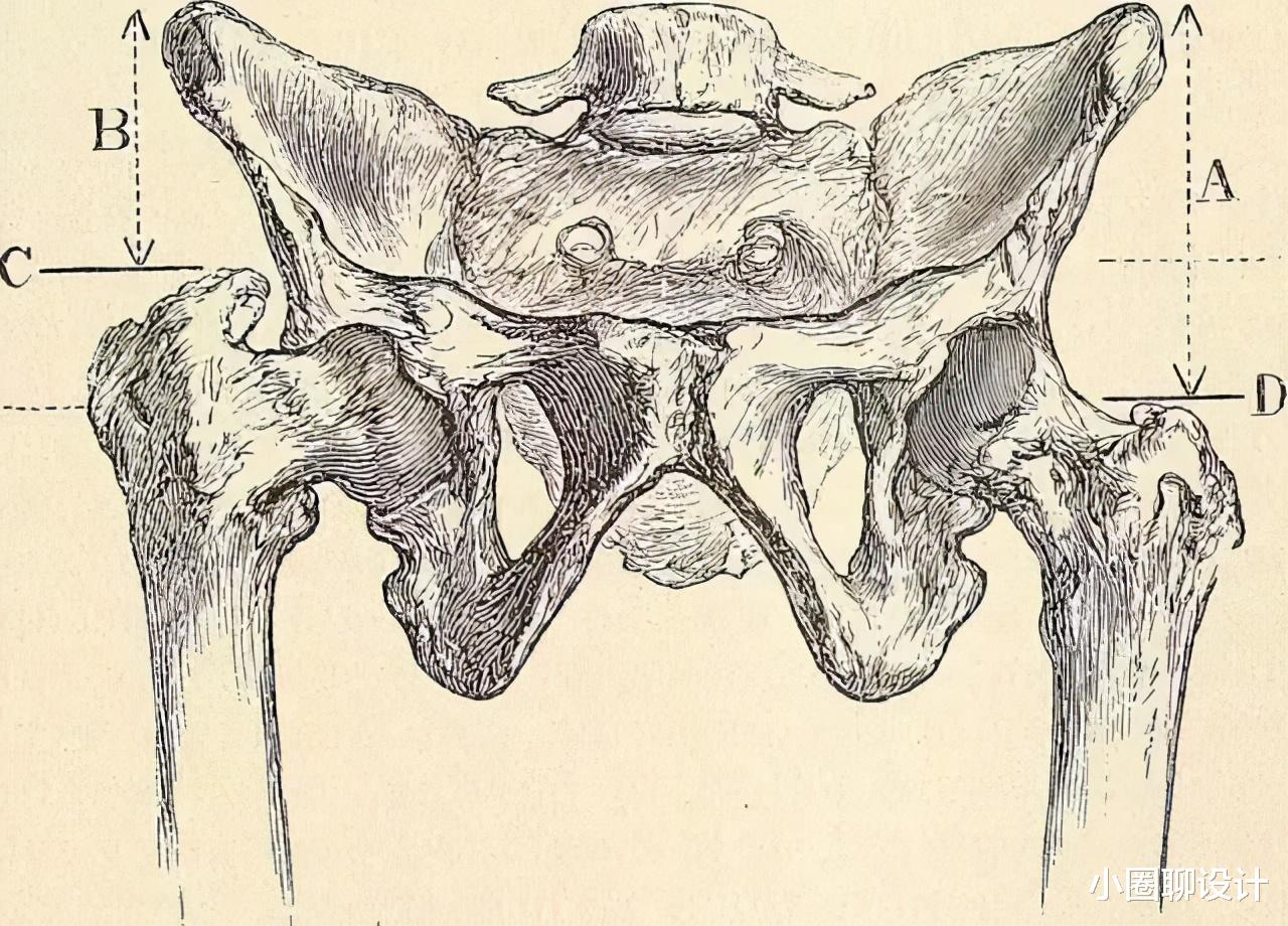 混凝土|17个大部分人都不知道的冷知识！人类大腿比混凝土还要坚固