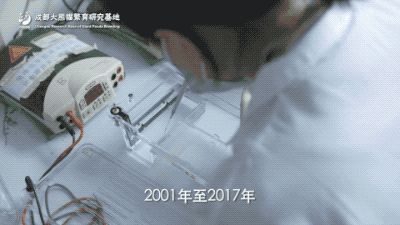 科学家 人类为什么要建立大熊猫精子库人工受精熊猫?