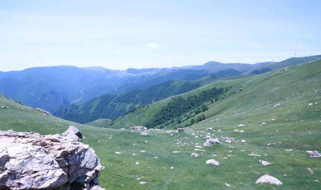 离岛|河北“空中草原”景观，绿草如茵、野花遍地，海拔高达2158米