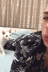 |“高端基金经理人才，往往只需简单的简历，我觉得我也行！”哈哈哈