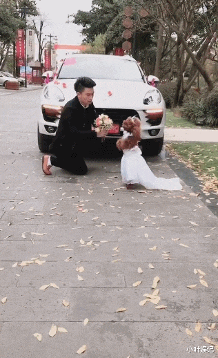 小叶娱记|神回复：很喜欢的一个女生发朋友圈了，我该怎么评论才能让她记住我