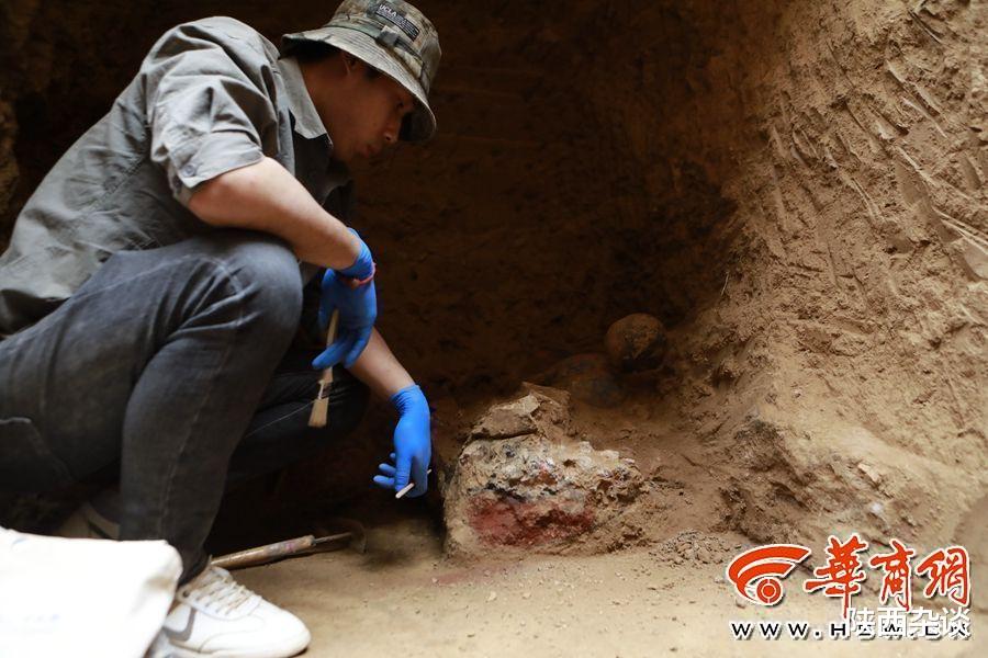 陕西杂谈 满满一仓粮！泾阳大堡子墓地墓主叫“葽奢” 是“小康之家”