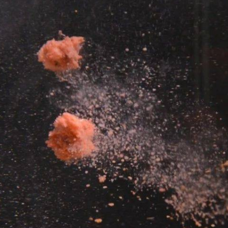 池塘|老钓手都是这样钓滑口鲤鱼的，一般人我不告诉他——盛世三渔