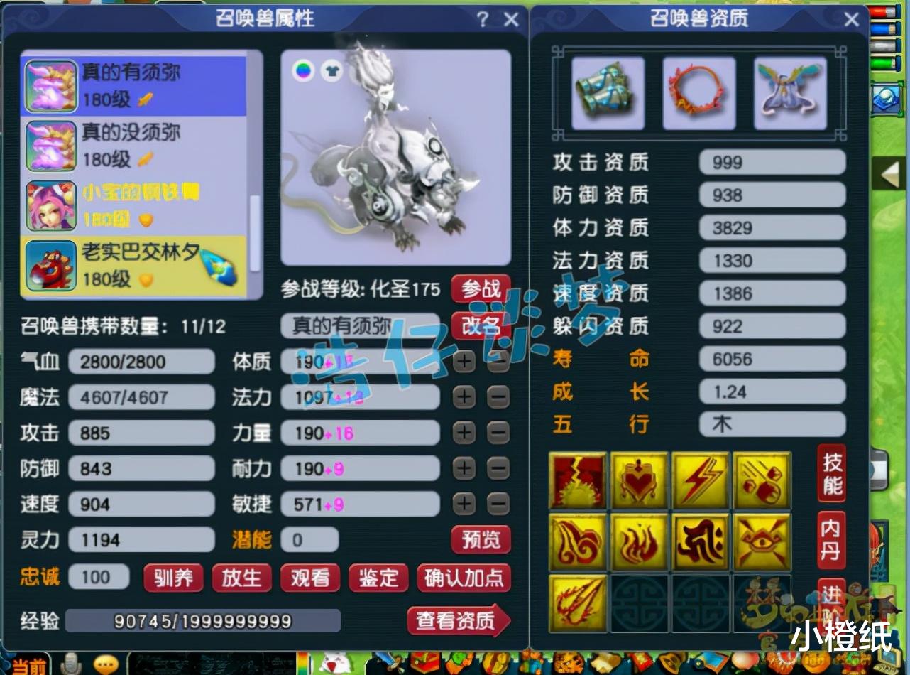 华山|梦幻西游：175顶级狮驼，变身+满天两套极品装，剑会、服战随便打