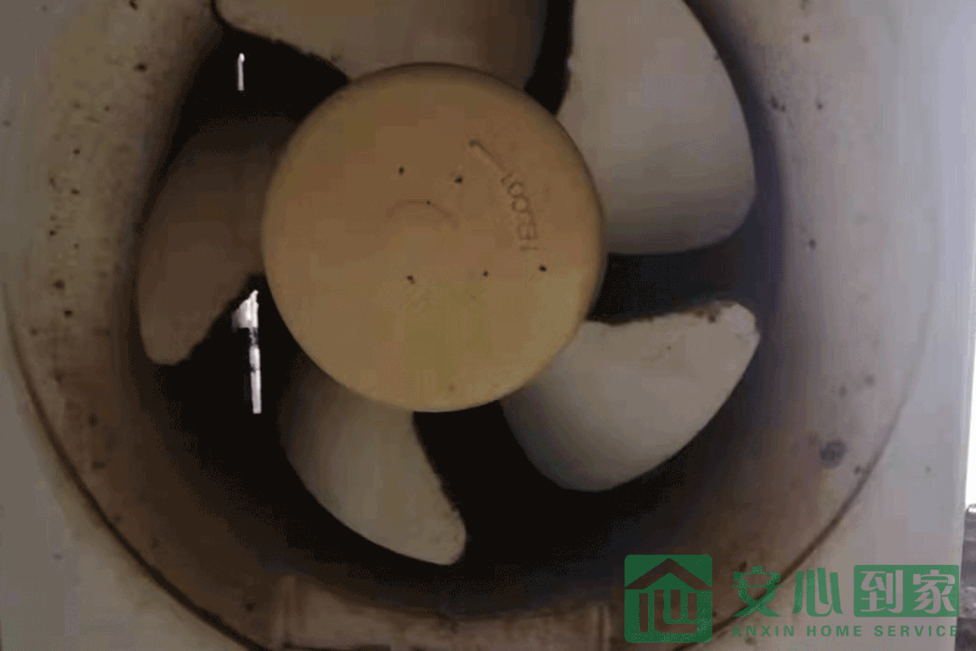 |安心到家 | 家政保洁一般清洁什么?有什么好处?