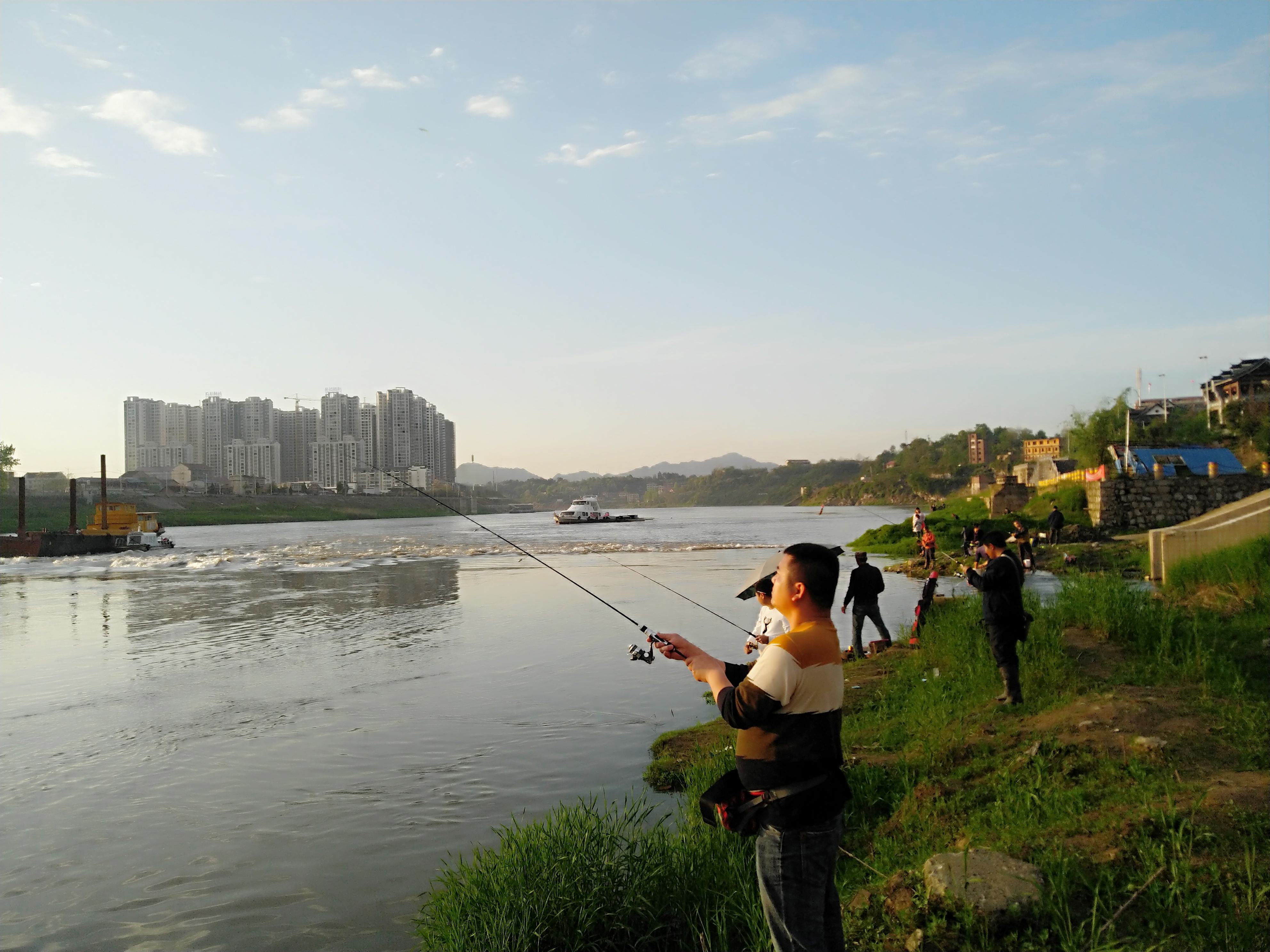 饵料|为什么总是钓不到鱼，因为你根本没弄明白钓鱼的三要素