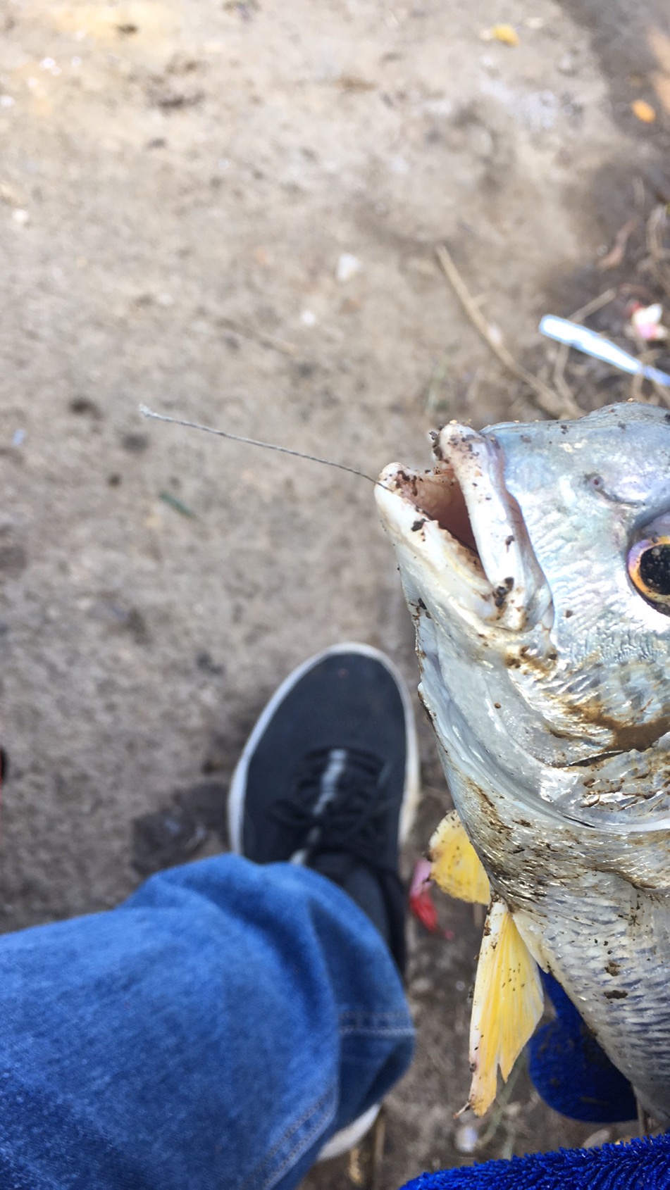 |努力工作但也要注意劳逸结合哦！