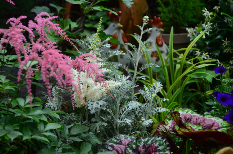 18年房龄的老房子，50㎡花园改造后，成了家人朋友最爱待的地方