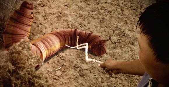 世界十大未解之谜之蒙古死亡之虫：是超出自然范围外的妖灵？