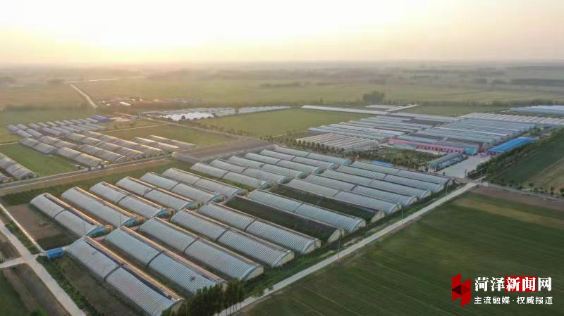 牡丹晚报 郓城县南赵楼乡甄庄村强组织促振兴侧记