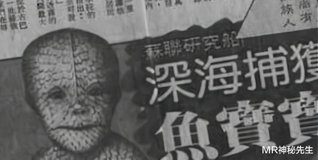 海洋生物|海南发现深海巨轮，巨轮上有座百万年前的宫殿，惊艳世人（下）
