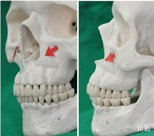 蔡徐坤|什么样的脸能打破美女界限，跃向神颜？