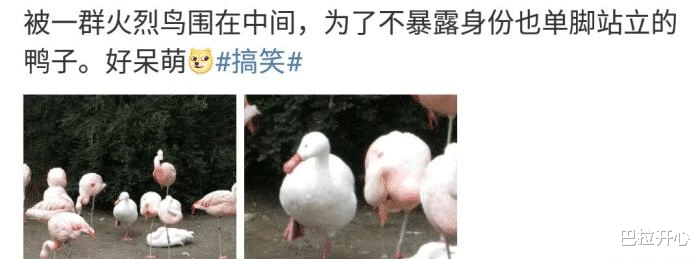 银耳 这大概是女生誓死保卫刘海的原因吧?？