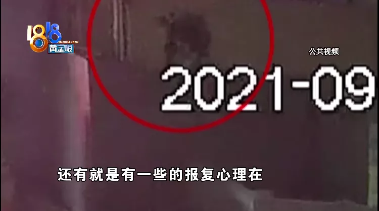 监控视频 偷了一箱iPhone13还搬走监控,“变装”男子终被抓