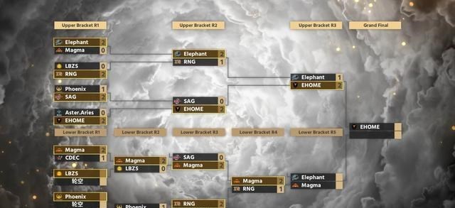 生态环境保卫者|Dota2：MagMa击败RNG，Zhou神：他们一路走来是真的很不容易！