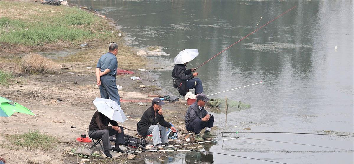 |秋季野钓为何要钓钝？降温后用蚯蚓钓鱼，鱼不开口该怎么办？