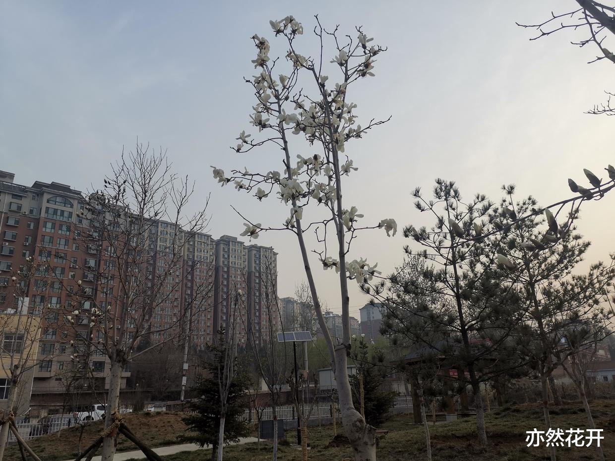 前台|写作疗愈：找到自己的定位，明确人生的目标