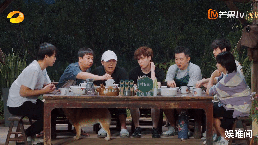 张艺兴|《向往5》即将收官，人人都夸张艺兴，我却看到了彭昱畅的不易